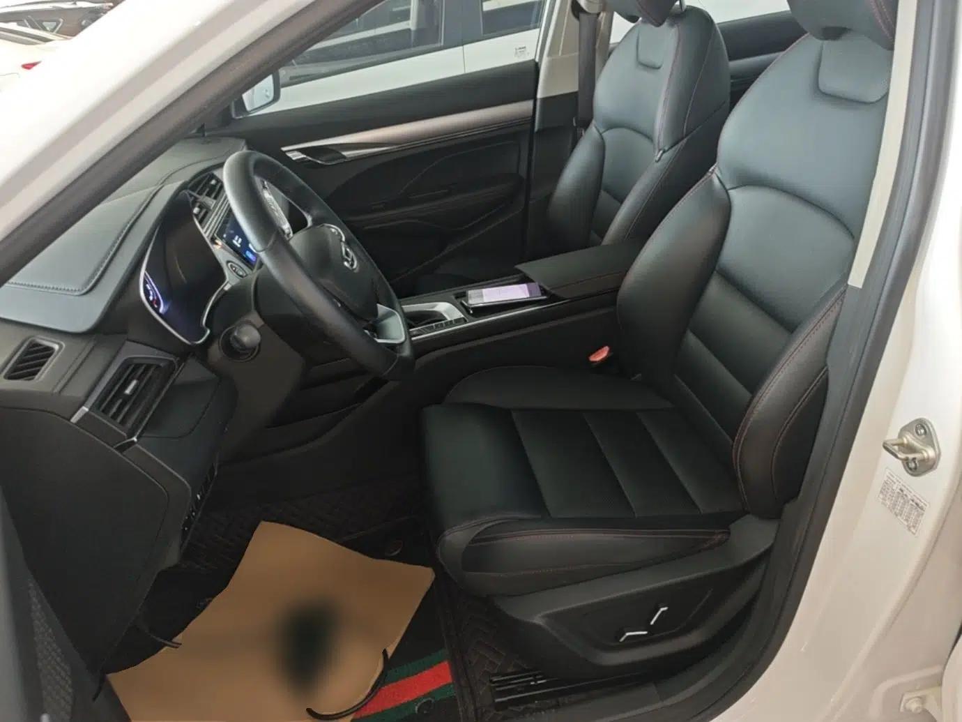 Geely Auto Binray 2019 200T DCT Binzhi Edition — миниатюра 22