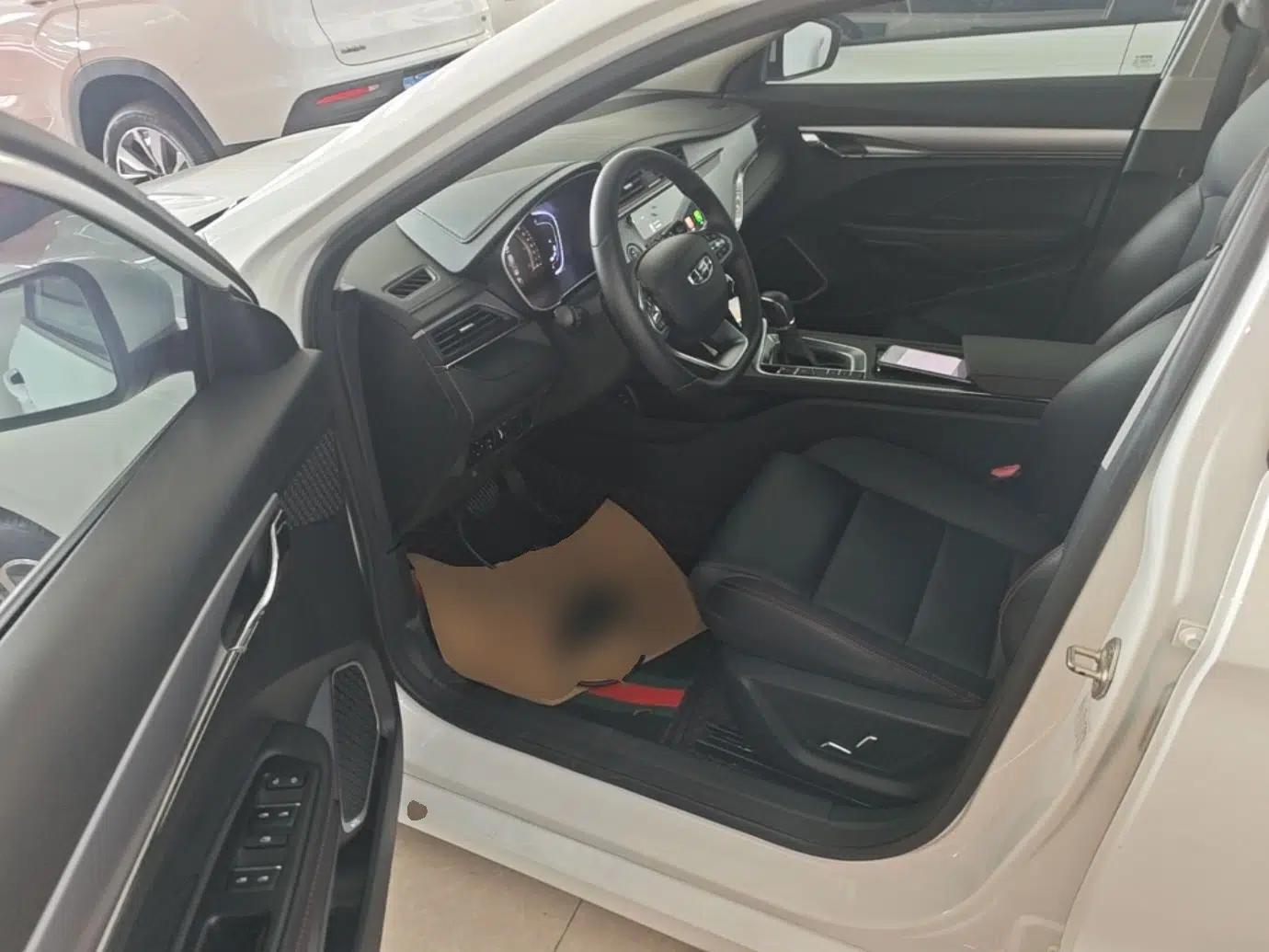 Geely Auto Binray 2019 200T DCT Binzhi Edition — миниатюра 23