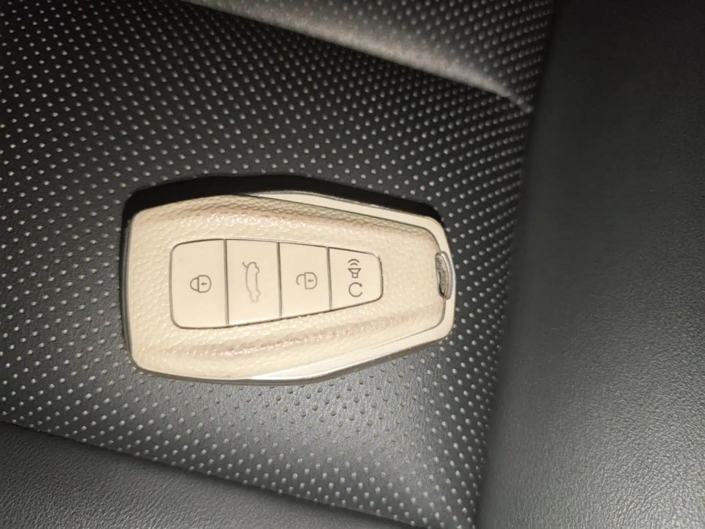 Geely Auto Binray 2019 200T DCT Binzhi Edition — миниатюра 28