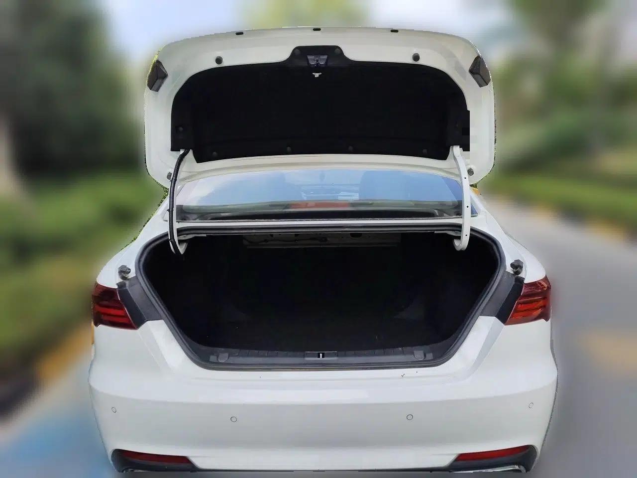 Geely Auto Binray 2020 1.4T CVT Luxury Model — миниатюра 19