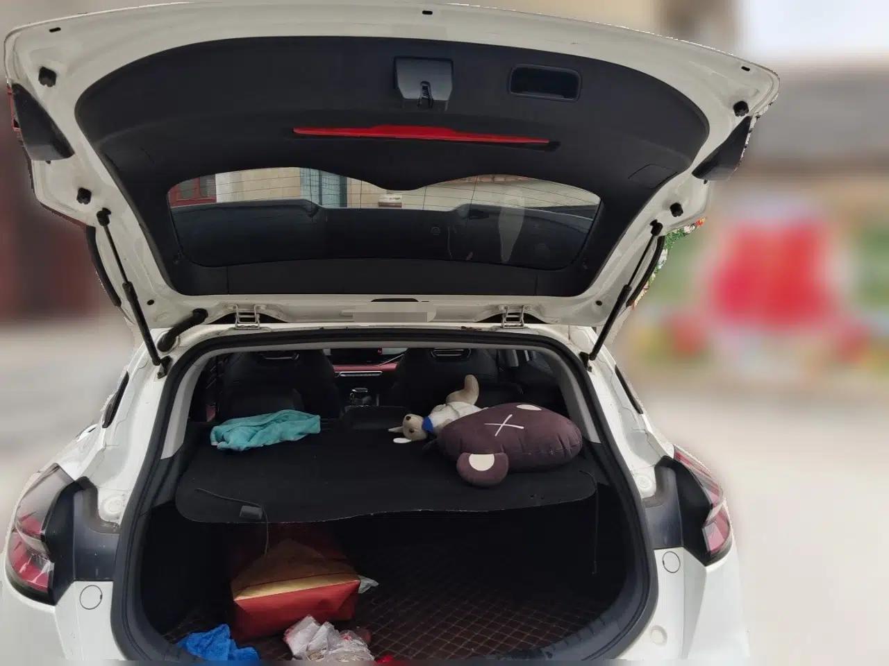 Geely Auto Emgrand S 2021 1.4T CVT Luxury Version — миниатюра 19
