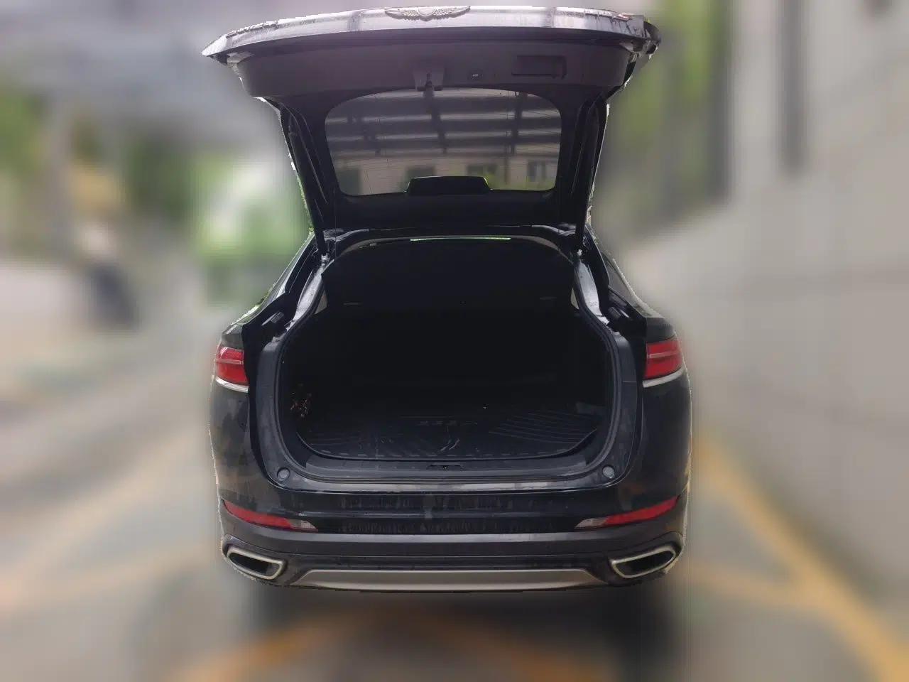 Geely Auto Monjaro S 2021 2.0TD DCT Two-Wheel Drive Lightning Edition — миниатюра 19