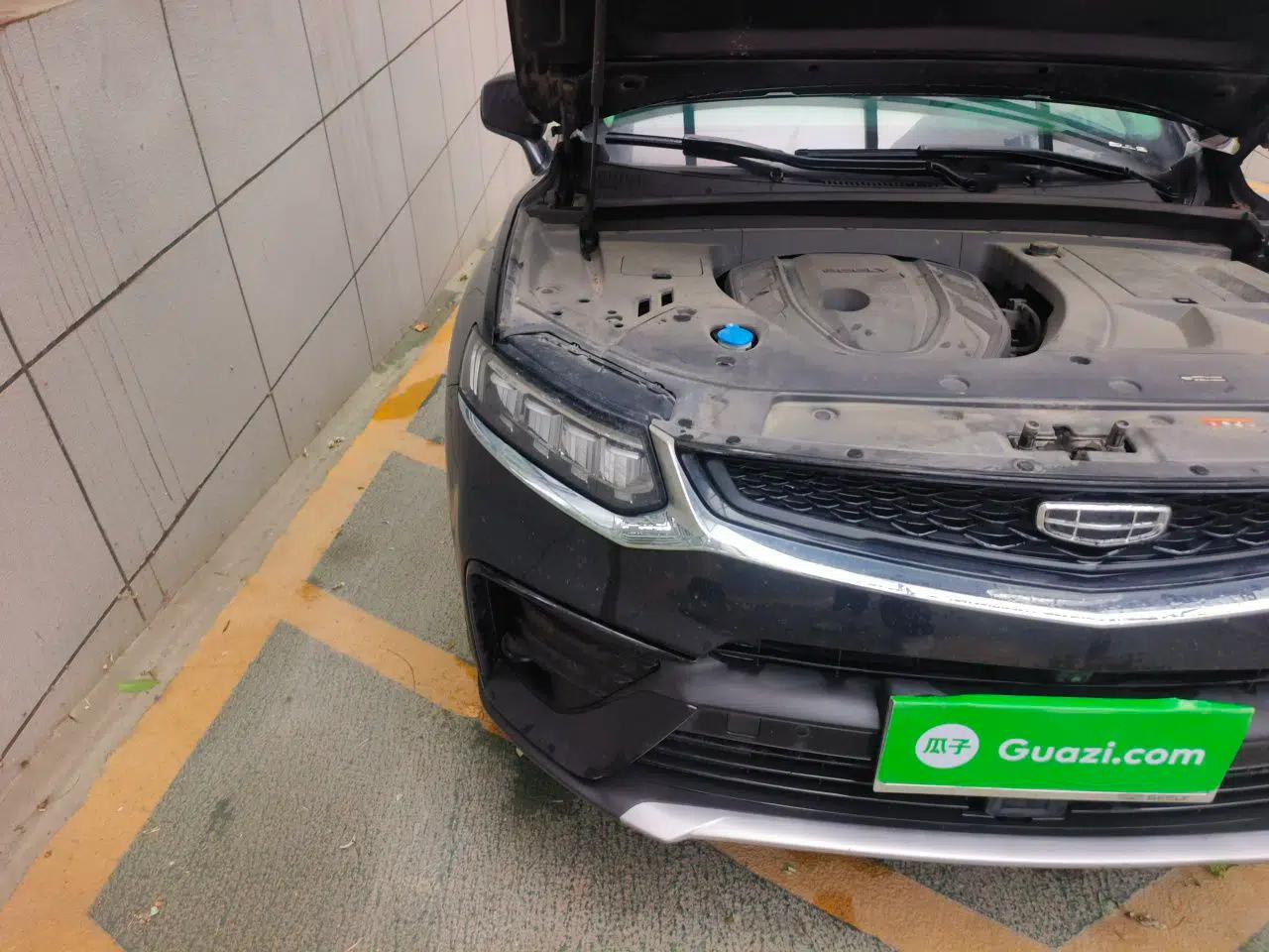Geely Auto Monjaro S 2021 2.0TD DCT Two-Wheel Drive Lightning Edition — миниатюра 7