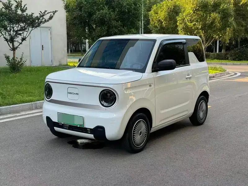 Panda 2023 Model 200km Panda Mini Endurance Bear — миниатюра 1