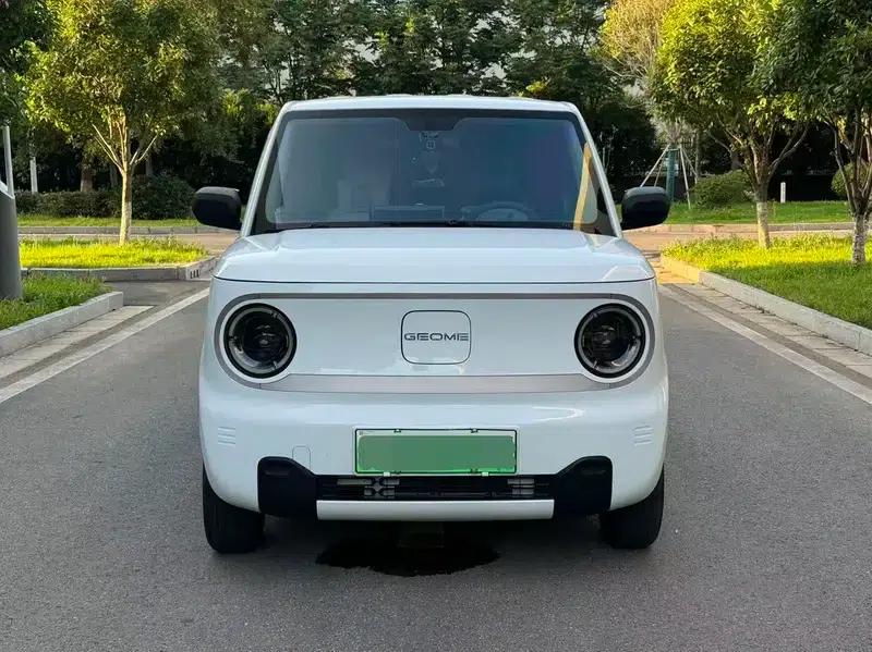 Panda 2023 Model 200km Panda Mini Endurance Bear — миниатюра 2