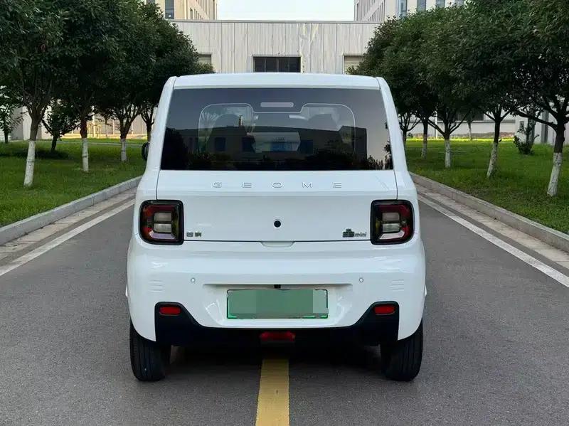 Panda 2023 Model 200km Panda Mini Endurance Bear — миниатюра 5