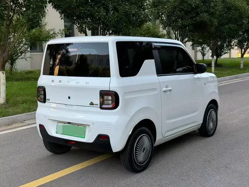 Panda 2023 Model 200km Panda Mini Endurance Bear — миниатюра 6