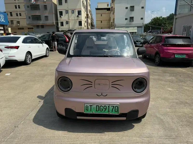 Panda 2023 200km Panda Mini Agile Bear — миниатюра 2