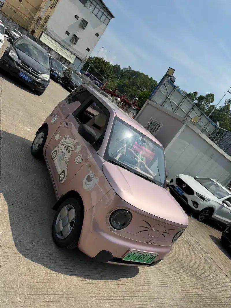 Panda 2023 200km Panda Mini Agile Bear — миниатюра 3
