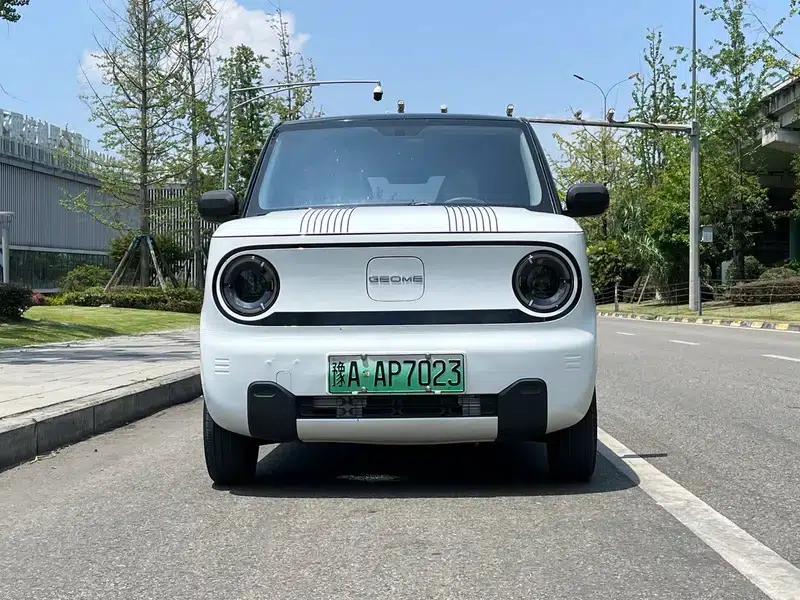 Panda 2023 Model 200km Panda Mini Endurance Bear — миниатюра 2