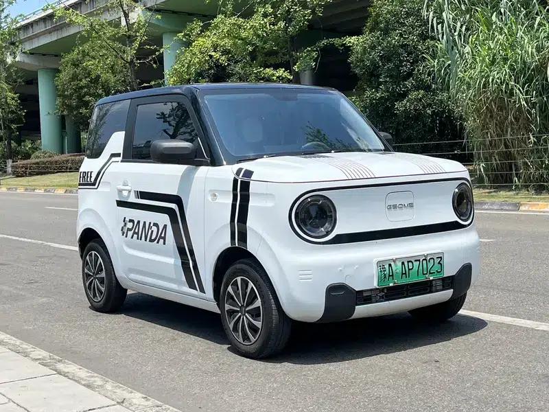 Panda 2023 Model 200km Panda Mini Endurance Bear — миниатюра 3