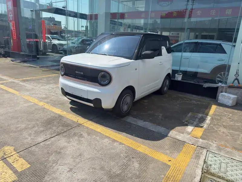 Panda 2024 Model 200km Panda Gokart — миниатюра 1