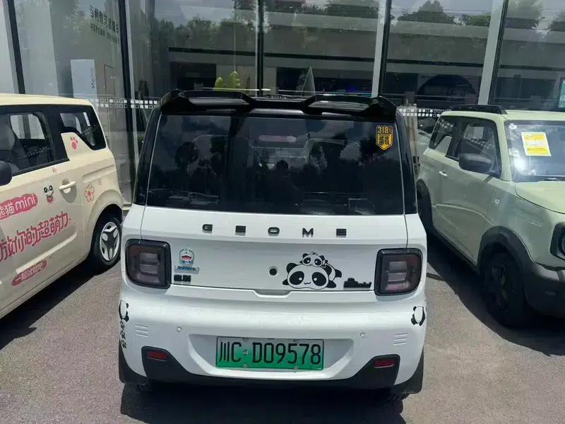 Panda 2024 Model 200km Panda Gokart — миниатюра 4