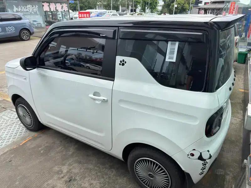 Panda 2024 Model 200km Panda Gokart — миниатюра 5