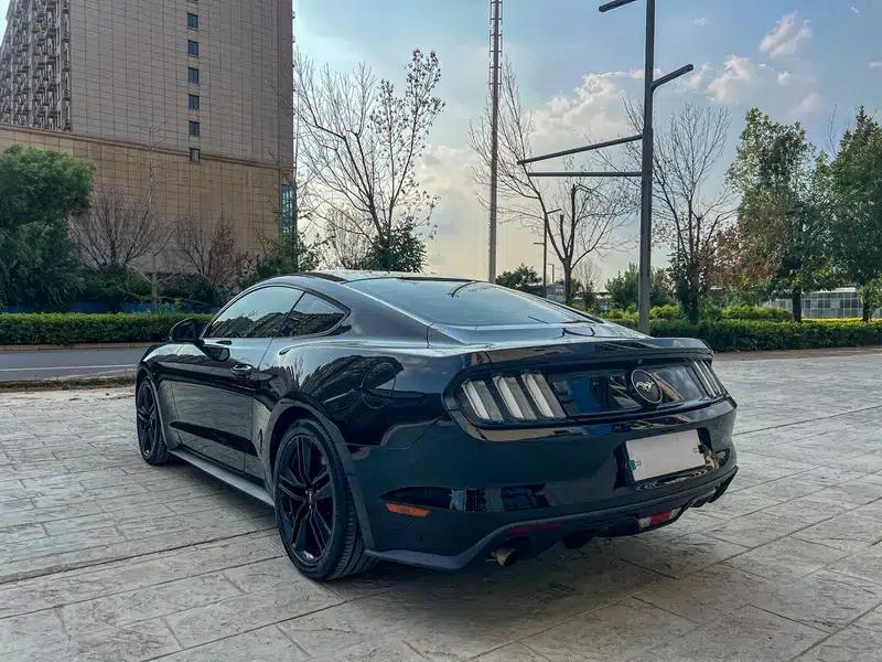 2015 Mustang 2.3T Performance Edition — миниатюра 6