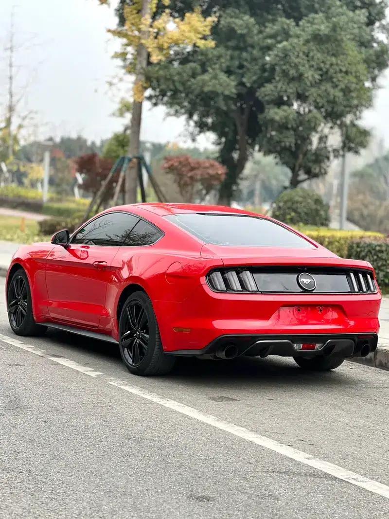 2016 Mustang 2.3T Performance Edition — миниатюра 4