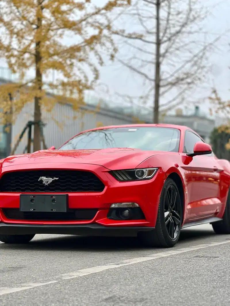 2016 Mustang 2.3T Performance Edition — миниатюра 7
