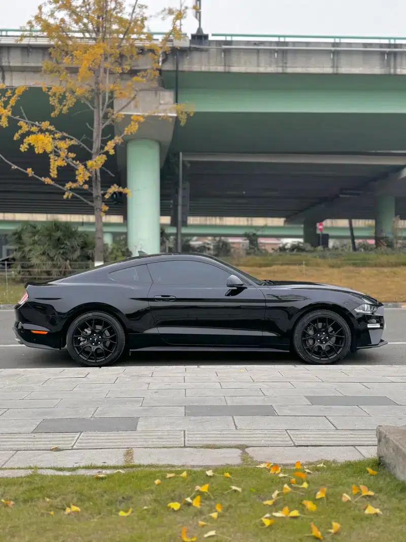 2020 Mustang 2.3T EcoBoost — миниатюра 4