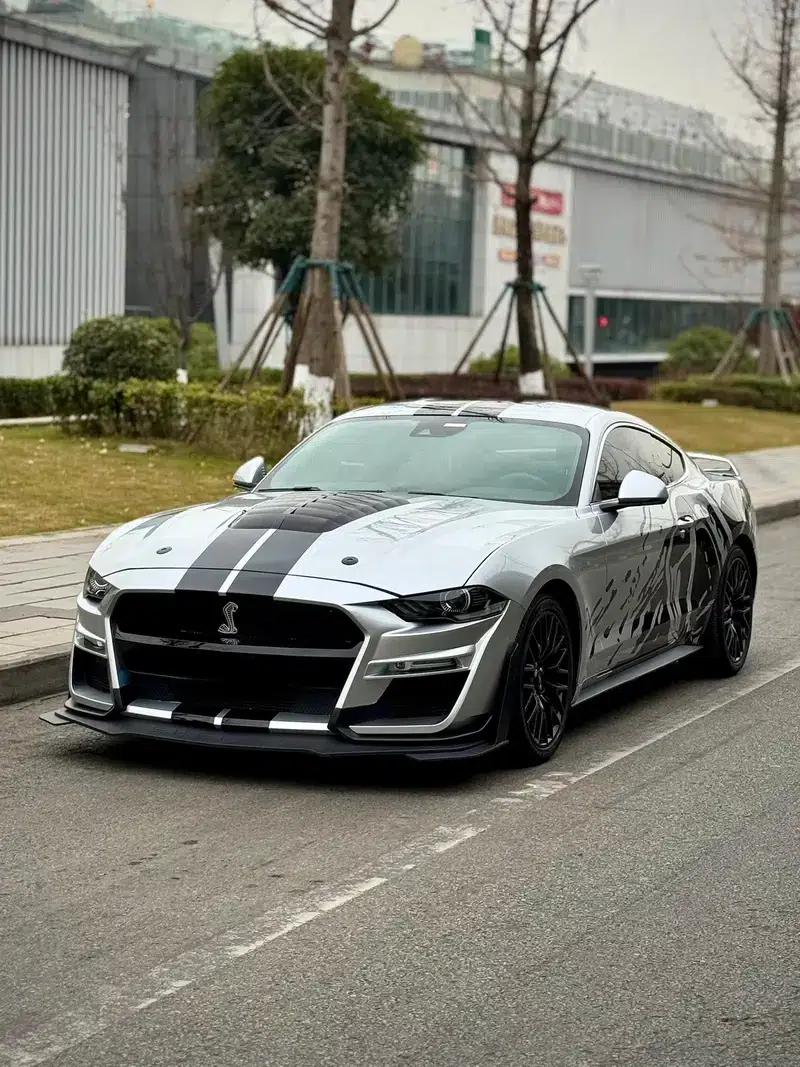 2019 Mustang 2.3T EcoBoost — миниатюра 1