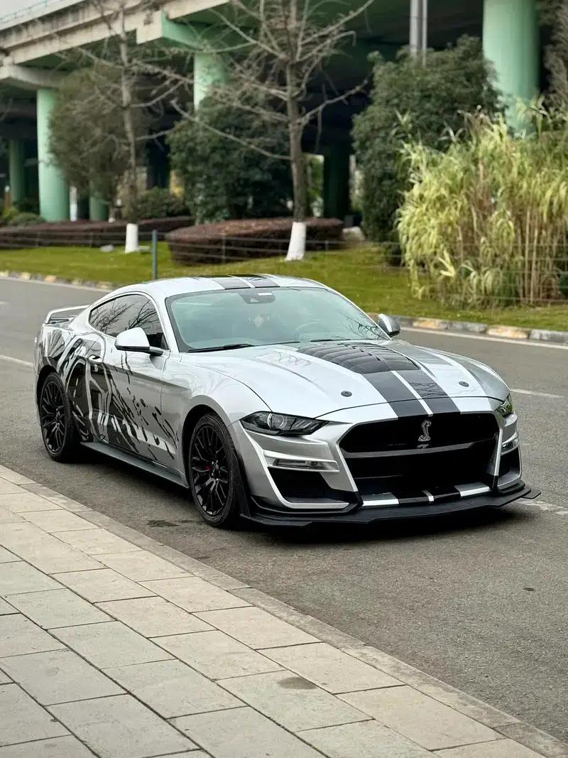 2019 Mustang 2.3T EcoBoost — миниатюра 3