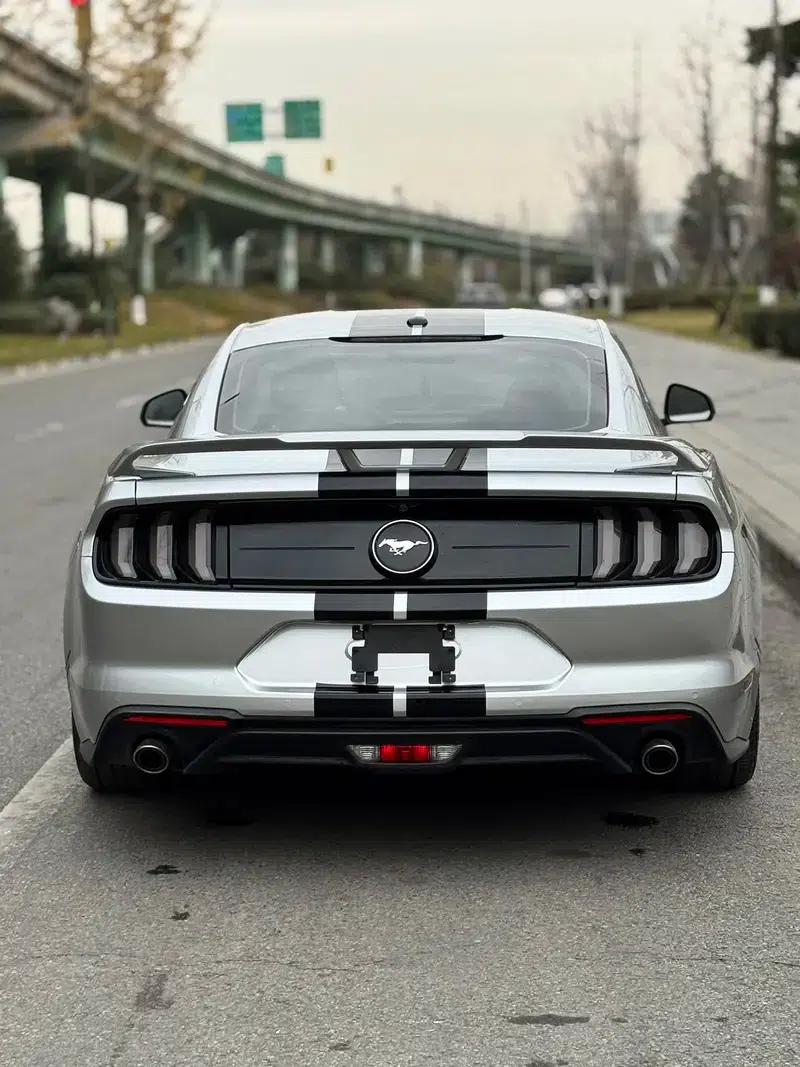 2019 Mustang 2.3T EcoBoost — миниатюра 5