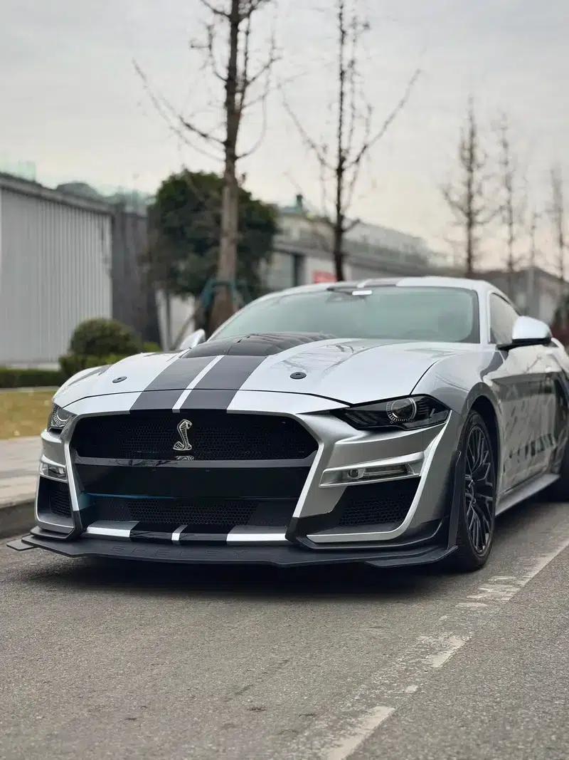 2019 Mustang 2.3T EcoBoost — миниатюра 6