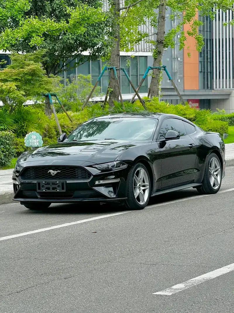 2019 Mustang 2.3T EcoBoost Performance Enhanced Edition — миниатюра 1