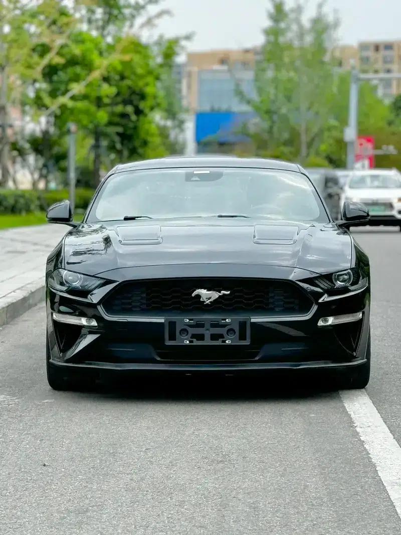 2019 Mustang 2.3T EcoBoost Performance Enhanced Edition — миниатюра 2