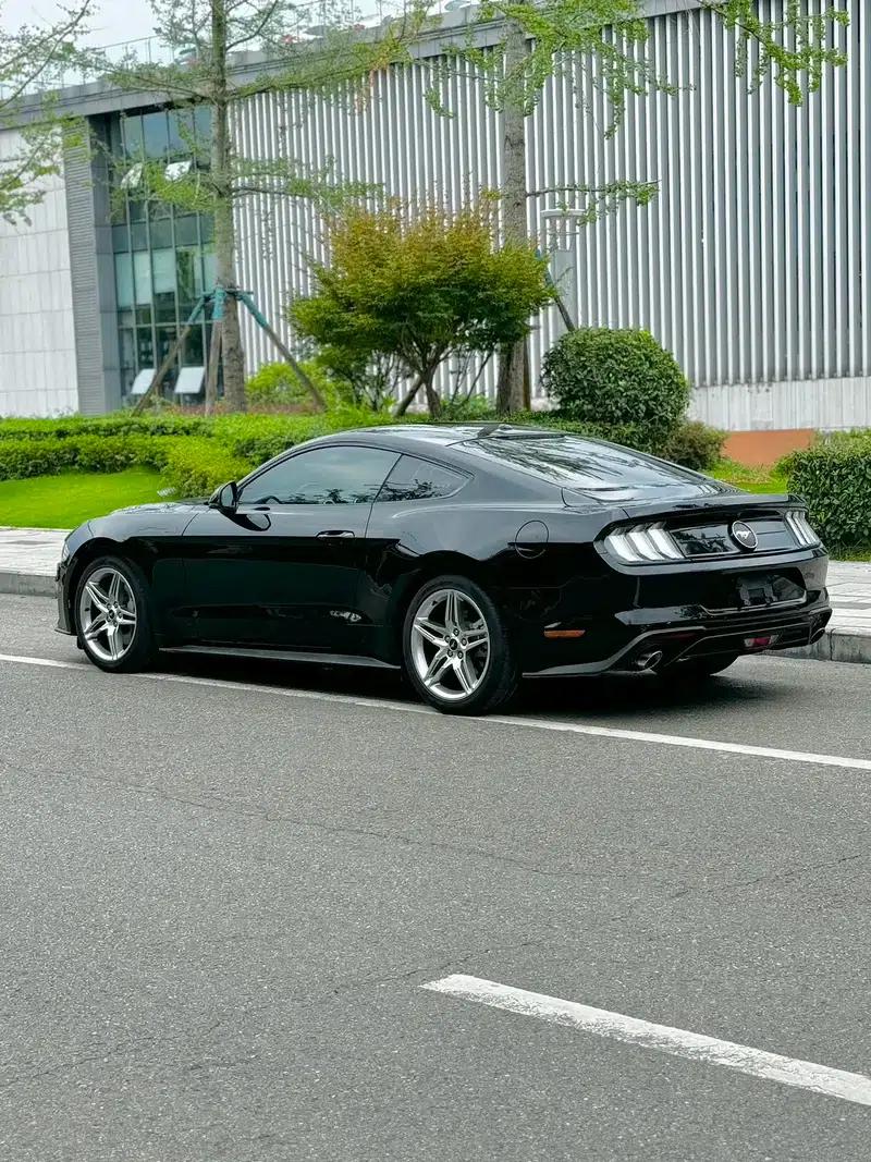 2019 Mustang 2.3T EcoBoost Performance Enhanced Edition — миниатюра 3