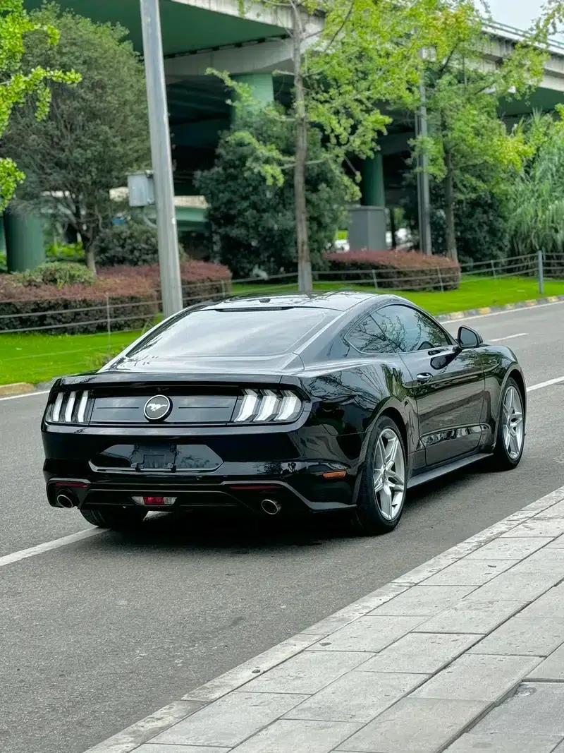2019 Mustang 2.3T EcoBoost Performance Enhanced Edition — миниатюра 5