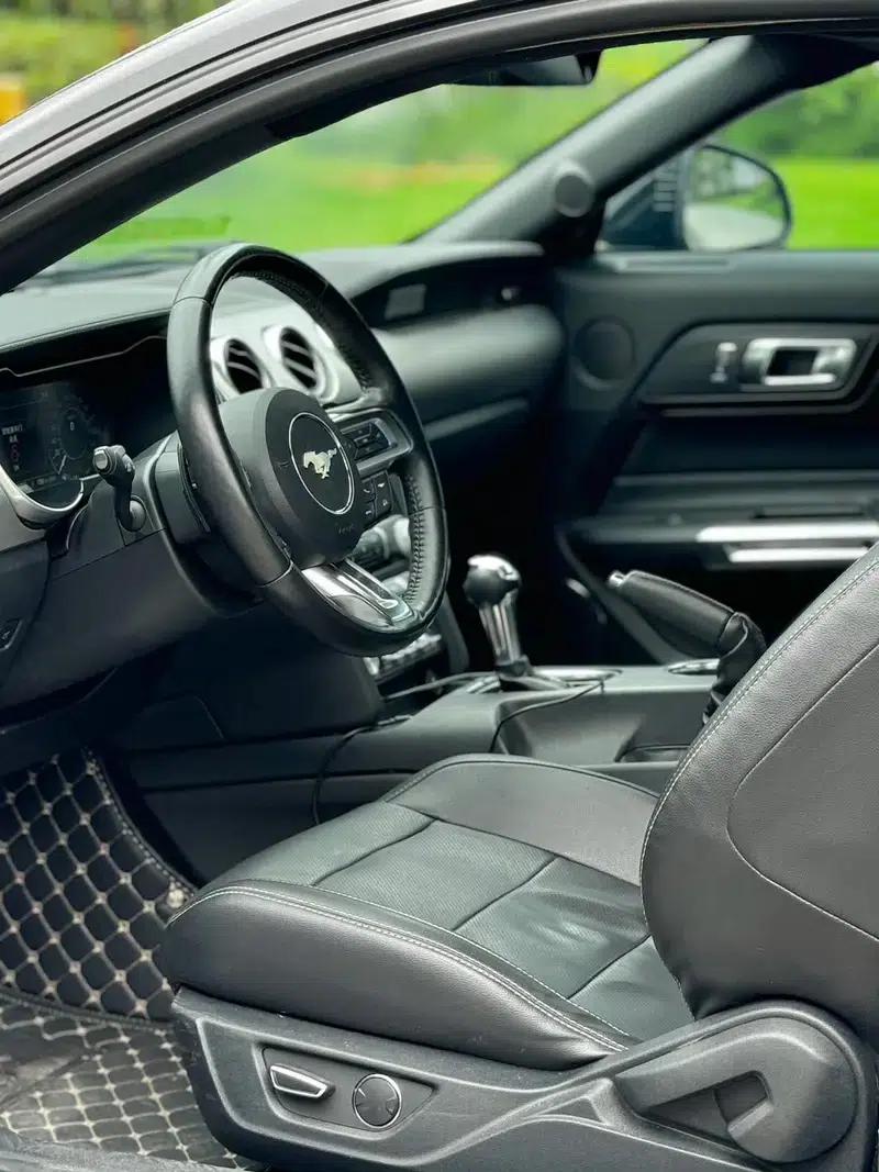 2019 Mustang 2.3T EcoBoost Performance Enhanced Edition — миниатюра 6