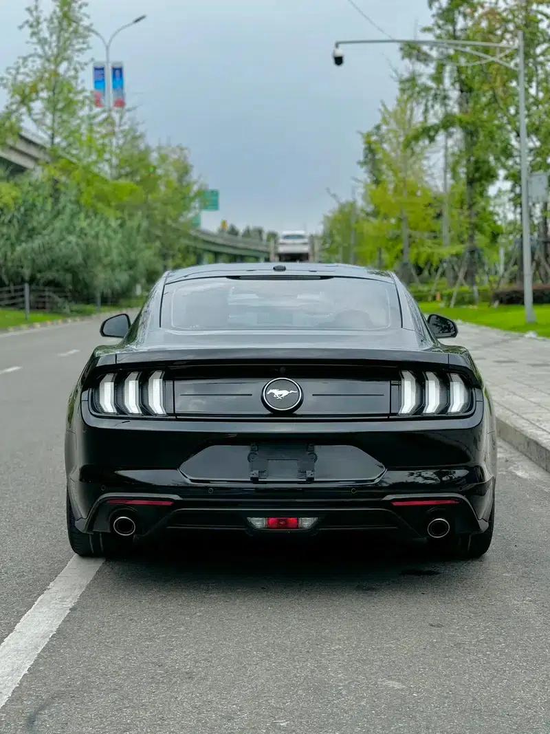 2019 Mustang 2.3T EcoBoost Performance Enhanced Edition — миниатюра 7