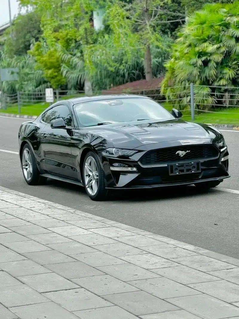 2019 Mustang 2.3T EcoBoost Performance Enhanced Edition — миниатюра 8