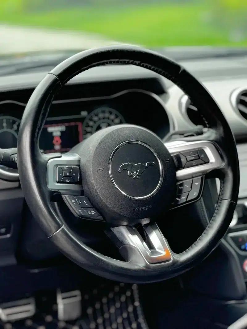2019 Mustang 2.3T EcoBoost Performance Enhanced Edition — миниатюра 9