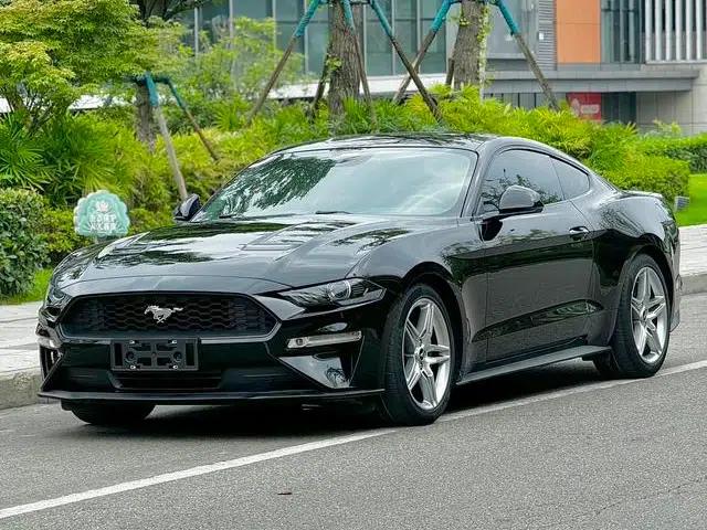 2019 Mustang 2.3T EcoBoost Performance Enhanced Edition