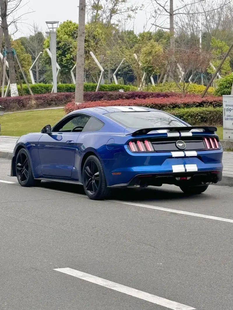 2017 Mustang 2.3T Performance Edition — миниатюра 4