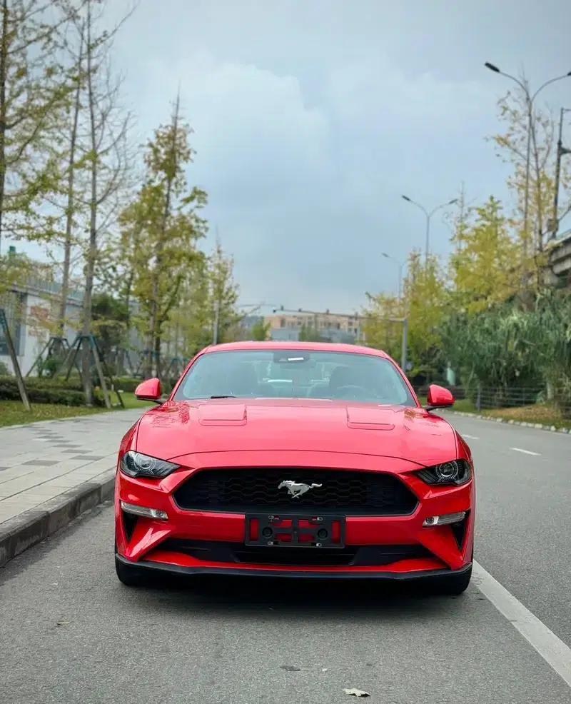 2019 Mustang 2.3T EcoBoost — миниатюра 2