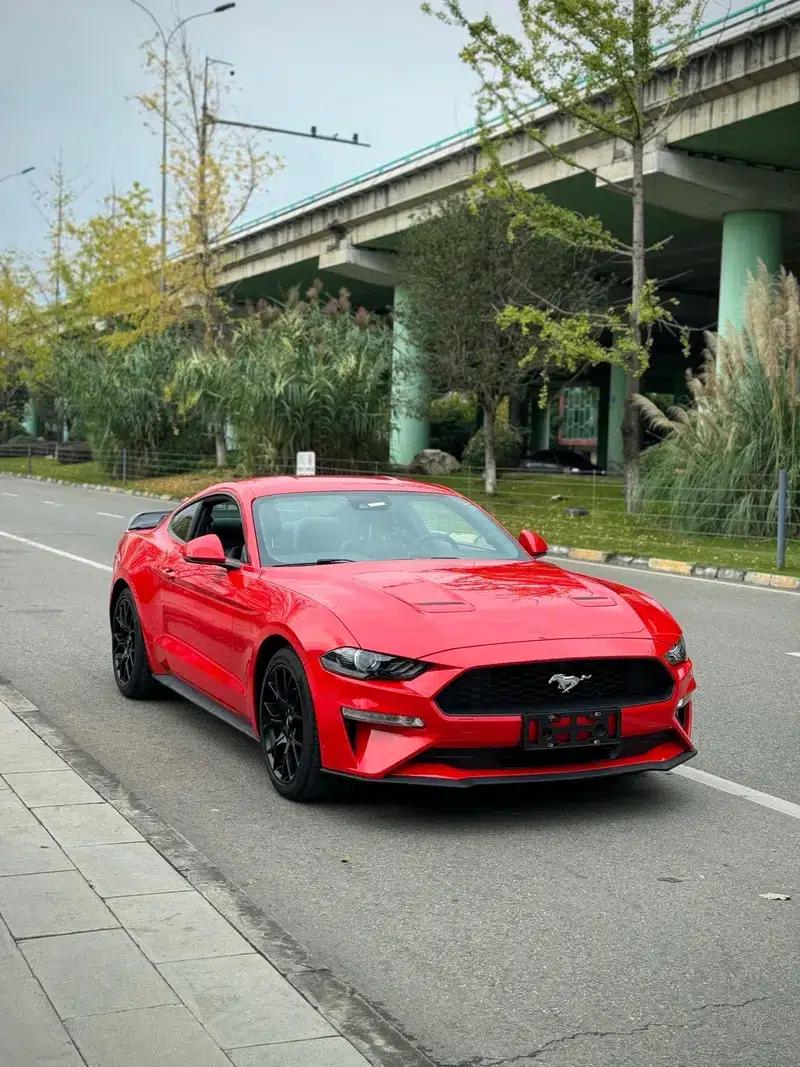2019 Mustang 2.3T EcoBoost — миниатюра 3