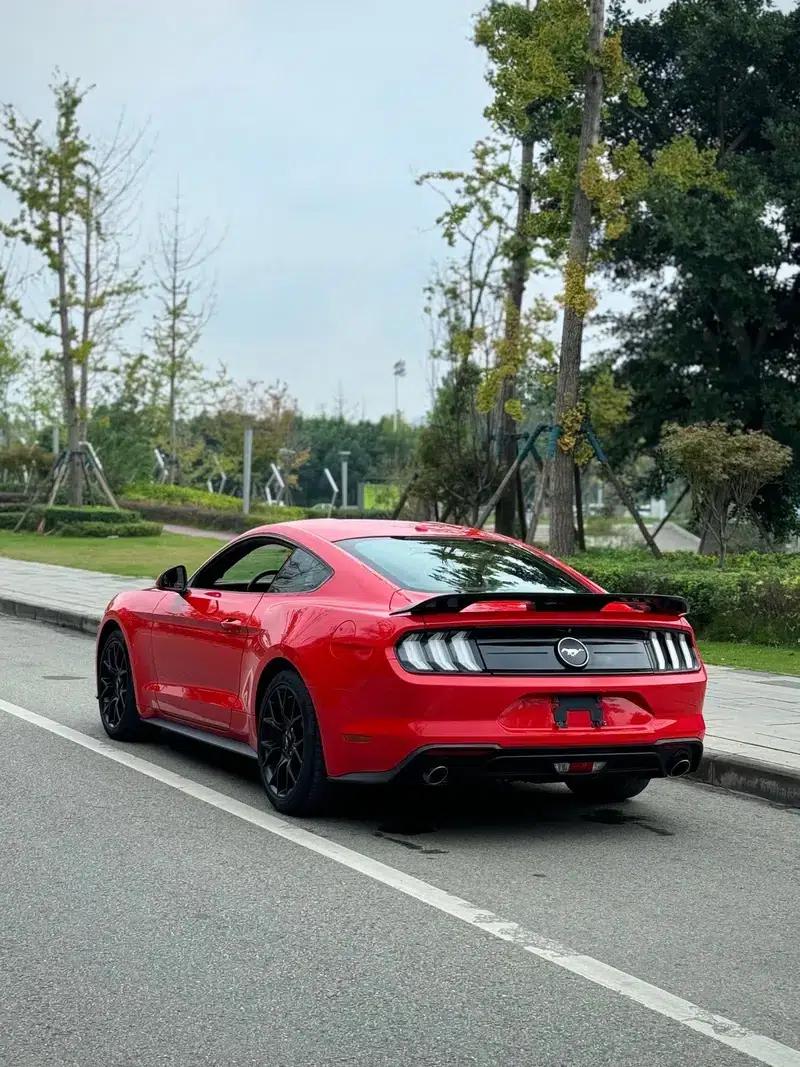 2019 Mustang 2.3T EcoBoost — миниатюра 4