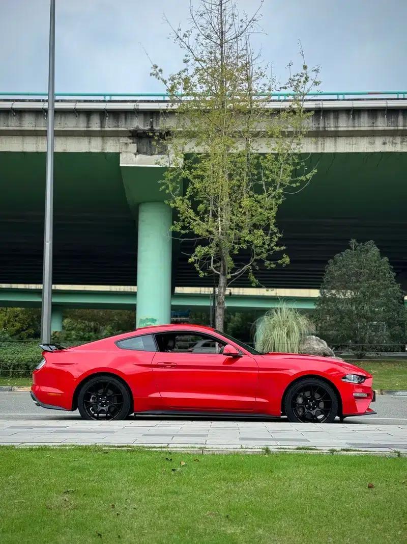 2019 Mustang 2.3T EcoBoost — миниатюра 6