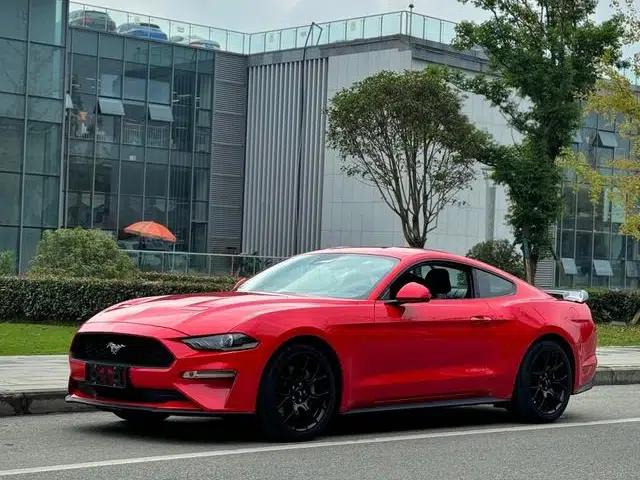 2019 Mustang 2.3T EcoBoost