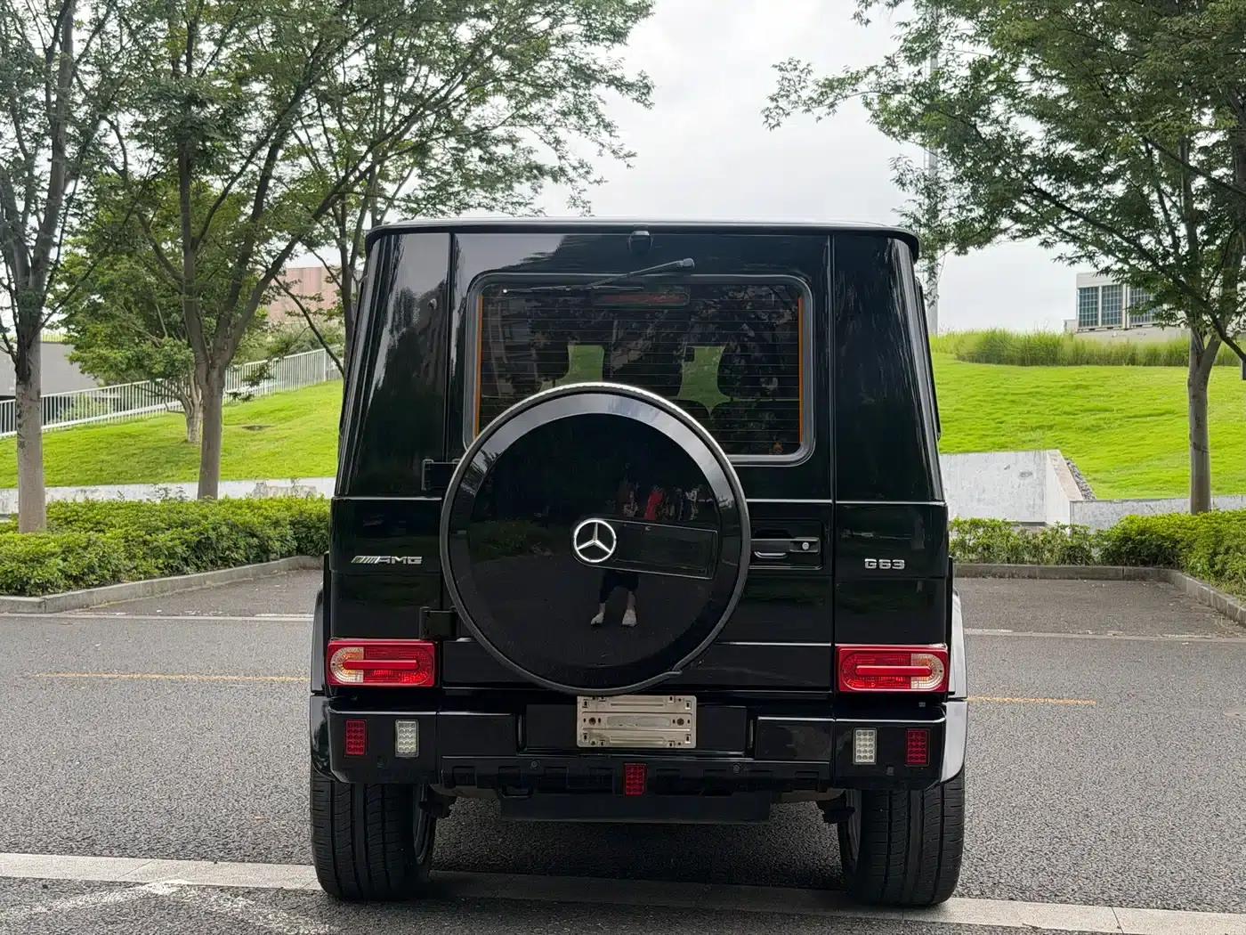 2017 Mercedes-Benz G-Class G 350 d — миниатюра 6