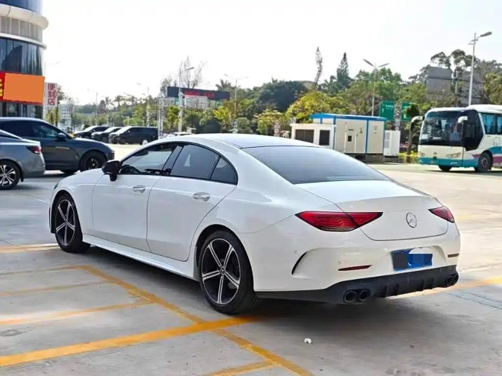 Mercedes-Benz CLS 2020 CLS 300 Luxury — миниатюра 6