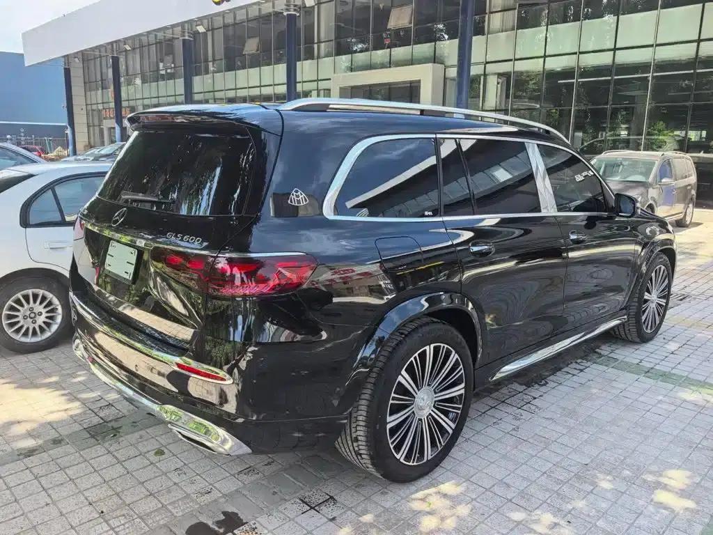 2024 Maybach GLS 600 4MATIC Elegance Edition — миниатюра 12