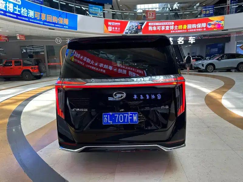 Trumpchi M8 2024 Master Series 2.0TGDI Supreme Edition — миниатюра 5