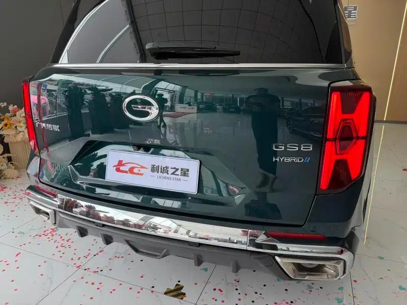 Trumpchi GS8 2022 Dual Engine Series 2.0TM Hybrid 2WD Premium Edition 6-Seater — миниатюра 13