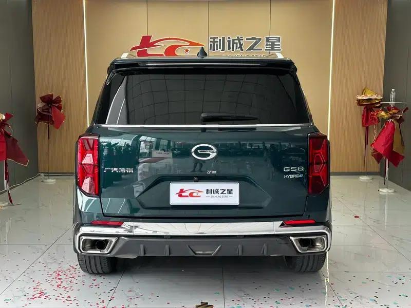 Trumpchi GS8 2022 Dual Engine Series 2.0TM Hybrid 2WD Premium Edition 6-Seater — миниатюра 5