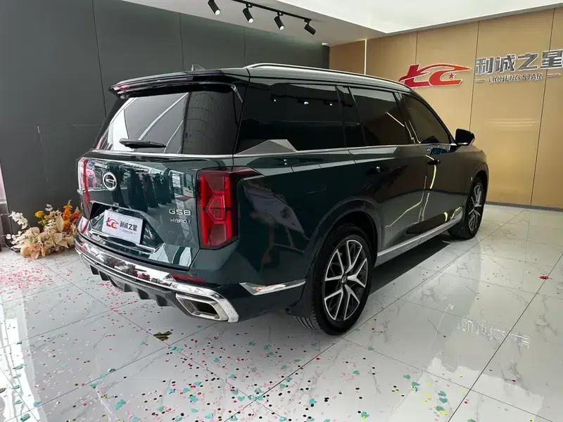 Trumpchi GS8 2022 Dual Engine Series 2.0TM Hybrid 2WD Premium Edition 6-Seater — миниатюра 6