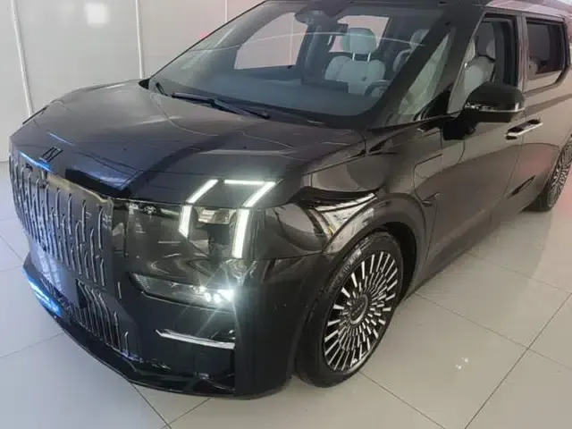 Zeekr 009 2022 WE Edition