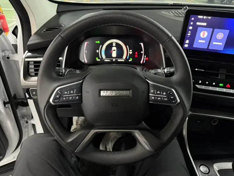 Haval H6 2023 National Trend Edition 1.5T Automatic Champion Edition — миниатюра 12